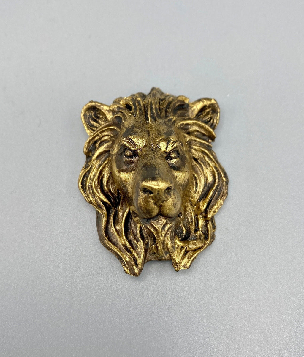 Lion's Head Magnet