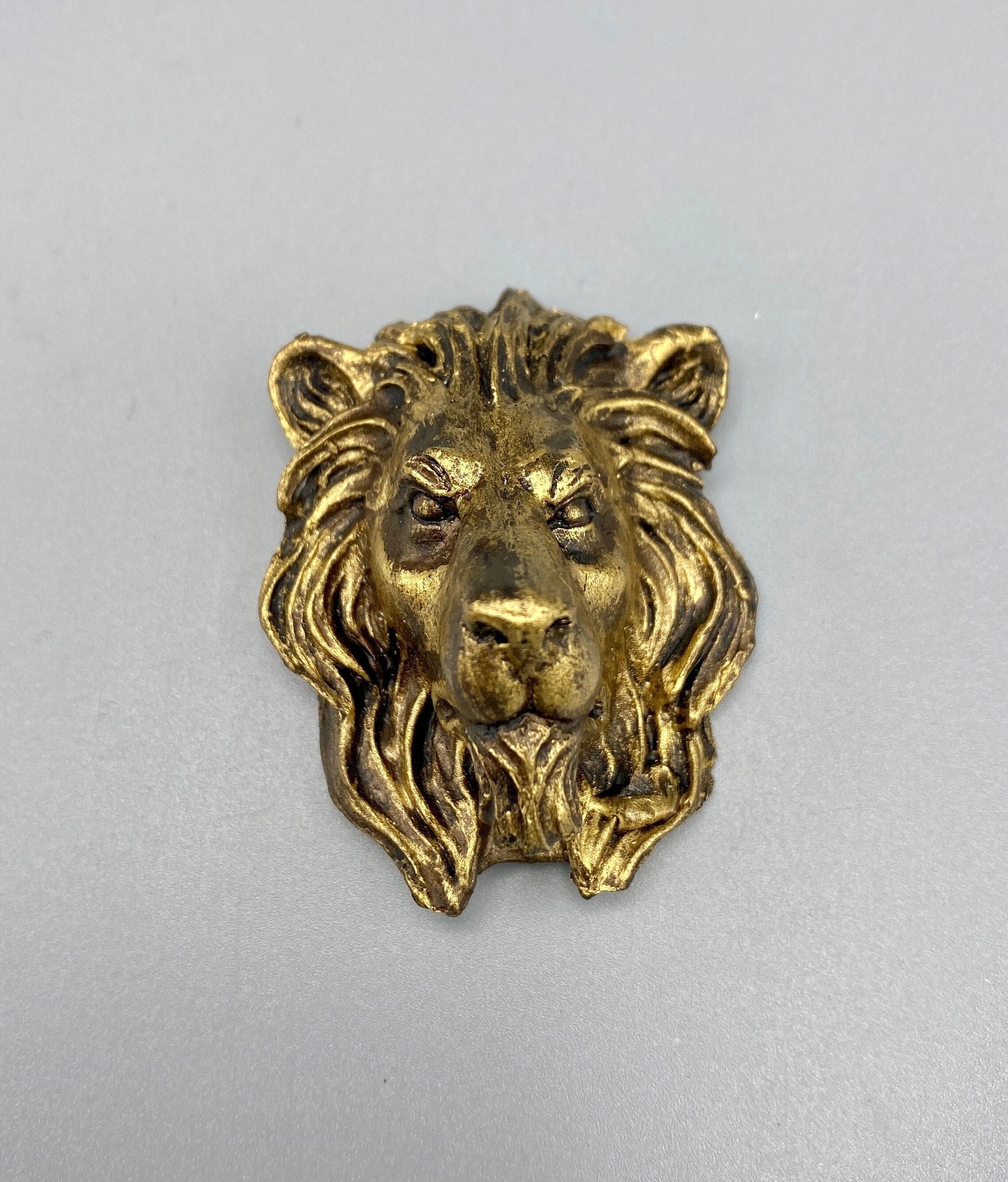 Lion's Head Magnet