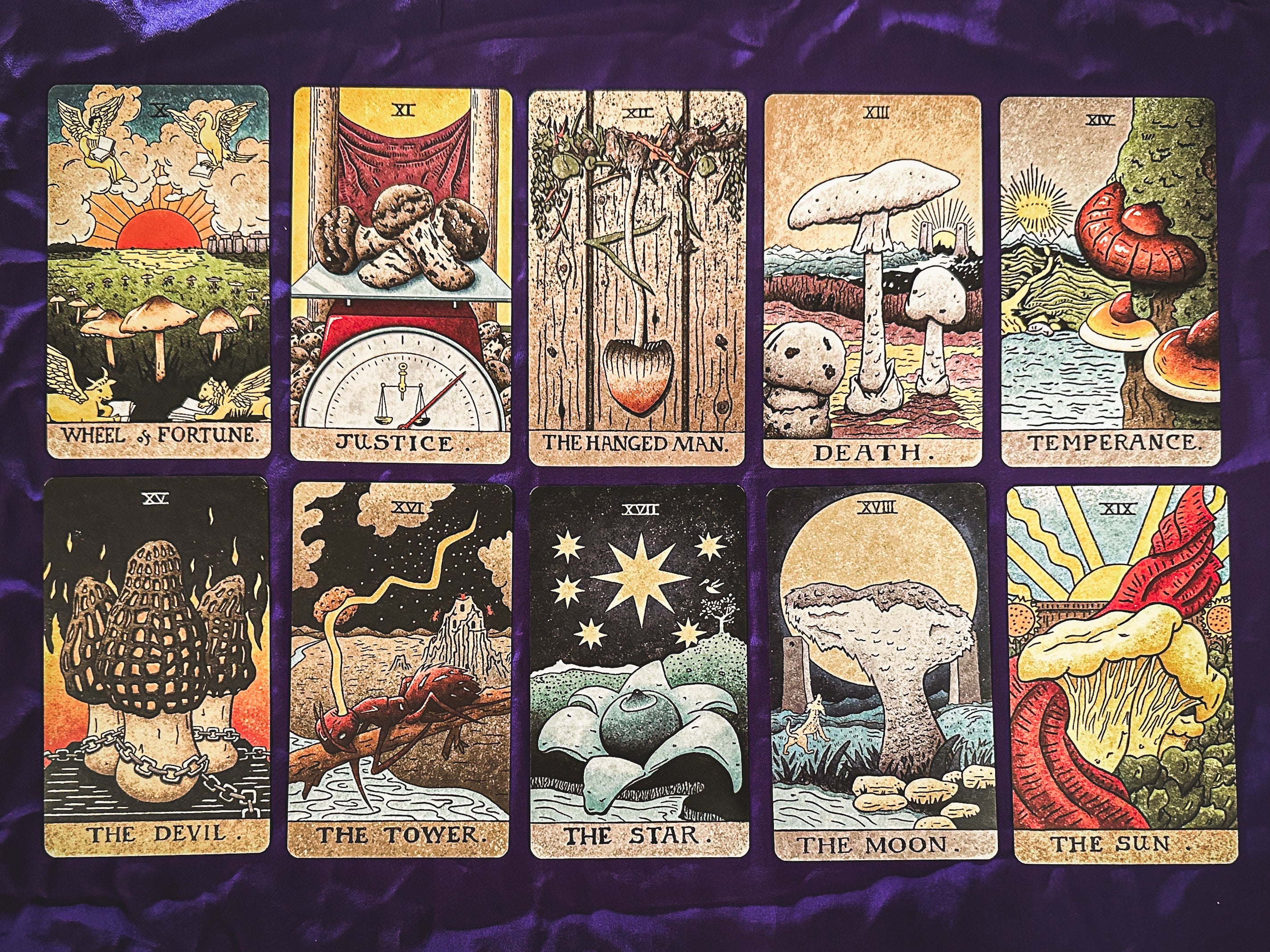 The Mushroom Hunter's Arcanum Tarot Deck