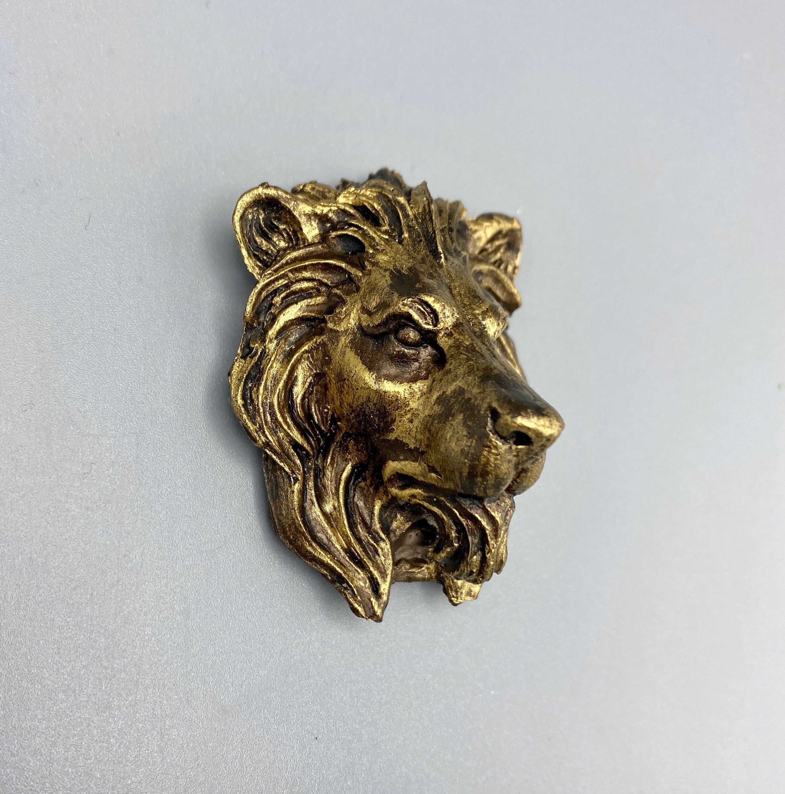 Lion's Head Magnet