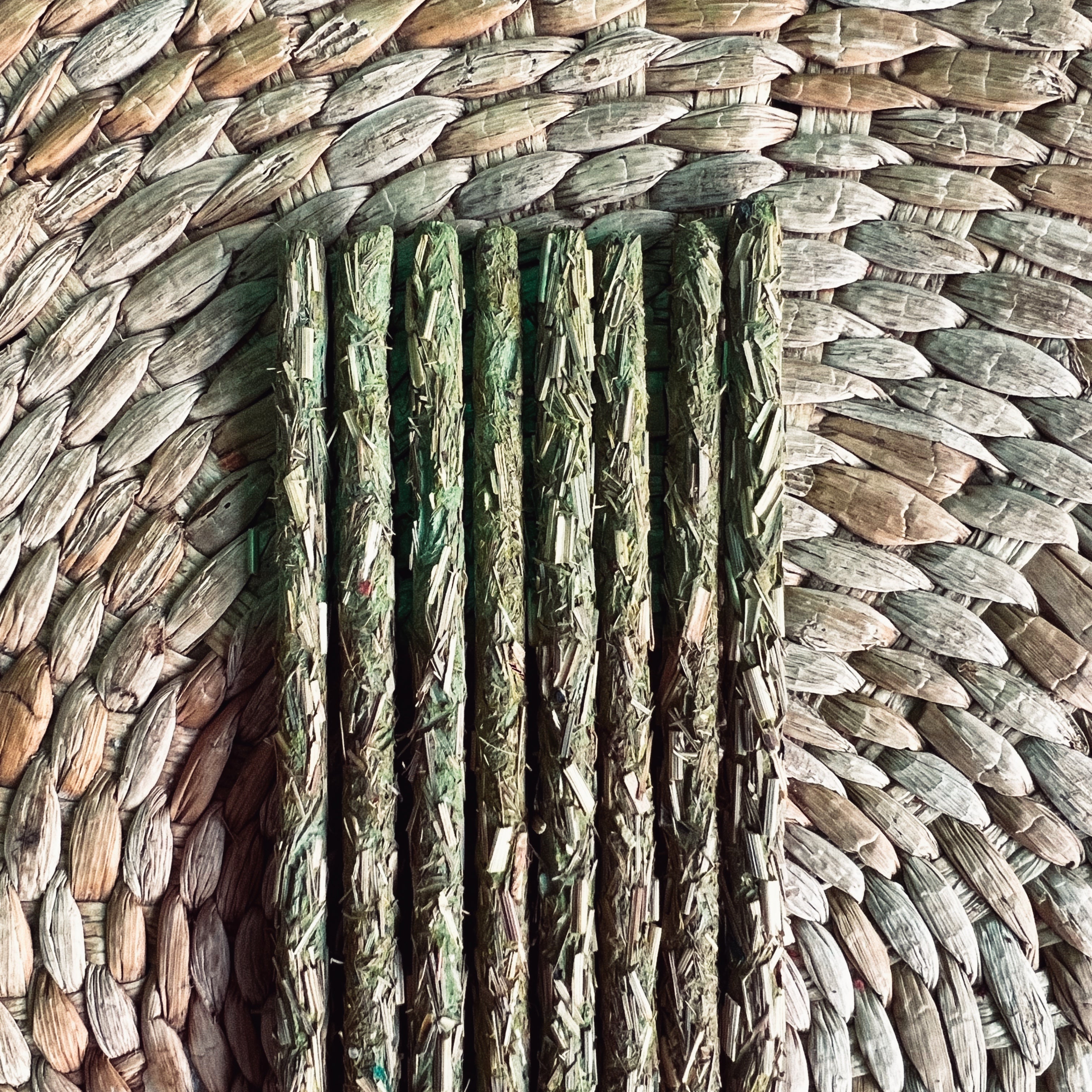 Vetiver Root Incense Sticks - 8 Sticks