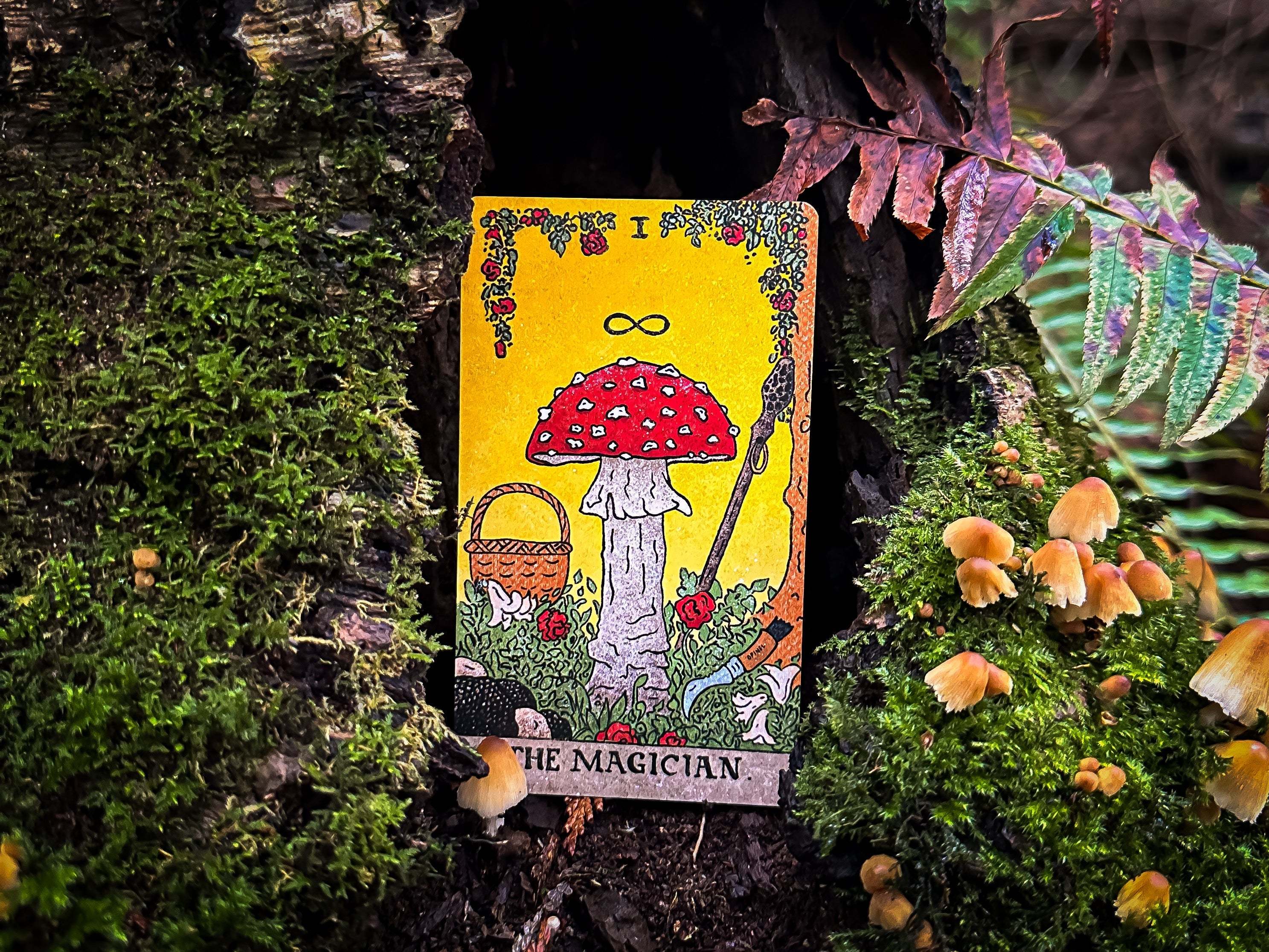 The Mushroom Hunter's Arcanum Tarot Deck