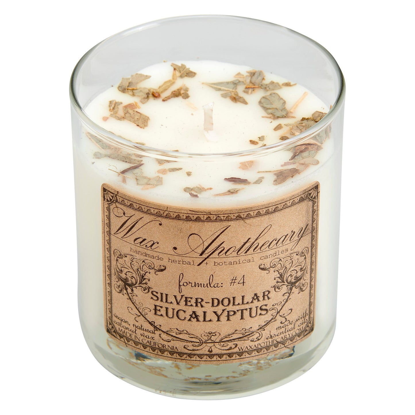 Silver-Dollar Eucalyptus Botanical Candle - 7 oz Scotch Glass