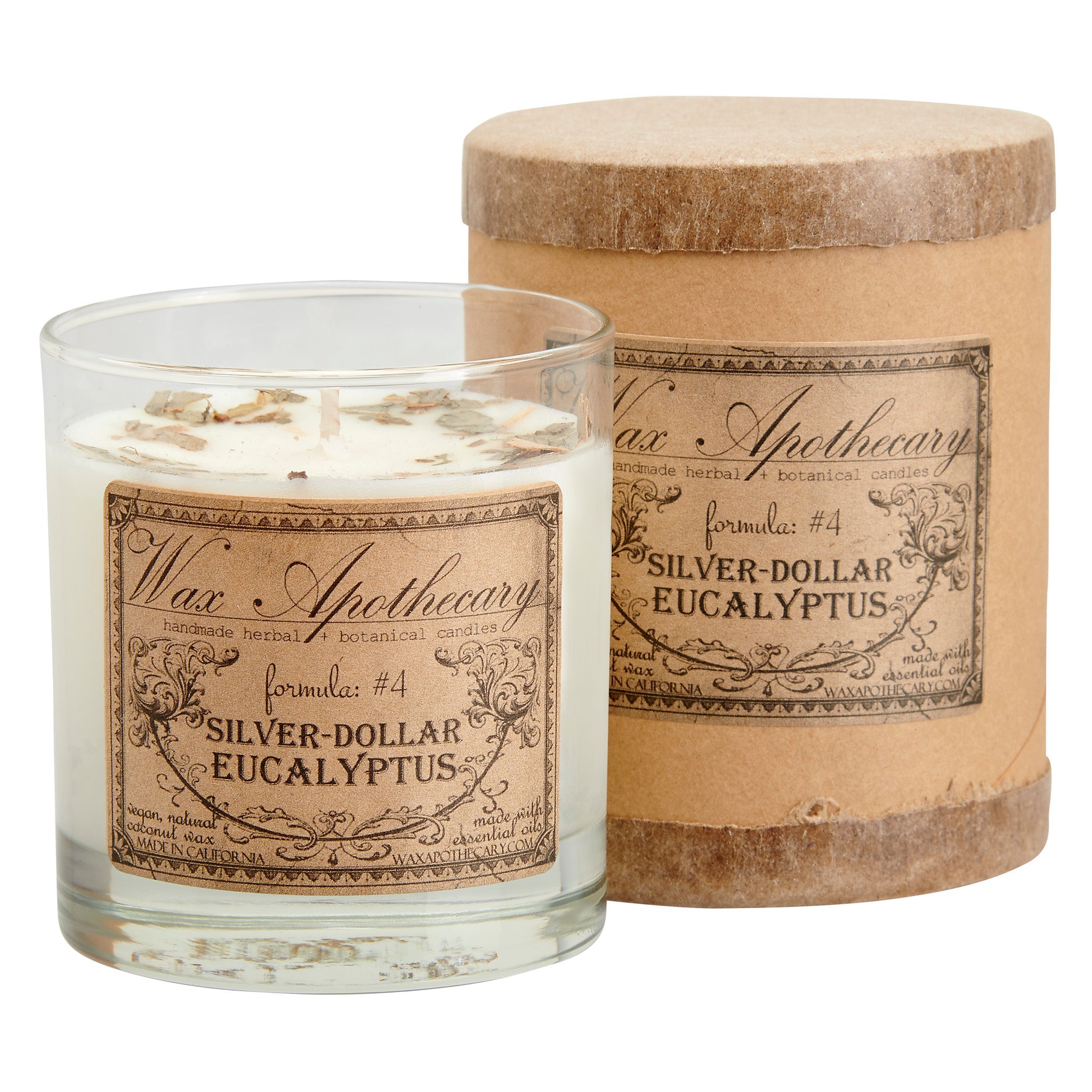 Silver-Dollar Eucalyptus Botanical Candle - 7 oz Scotch Glass