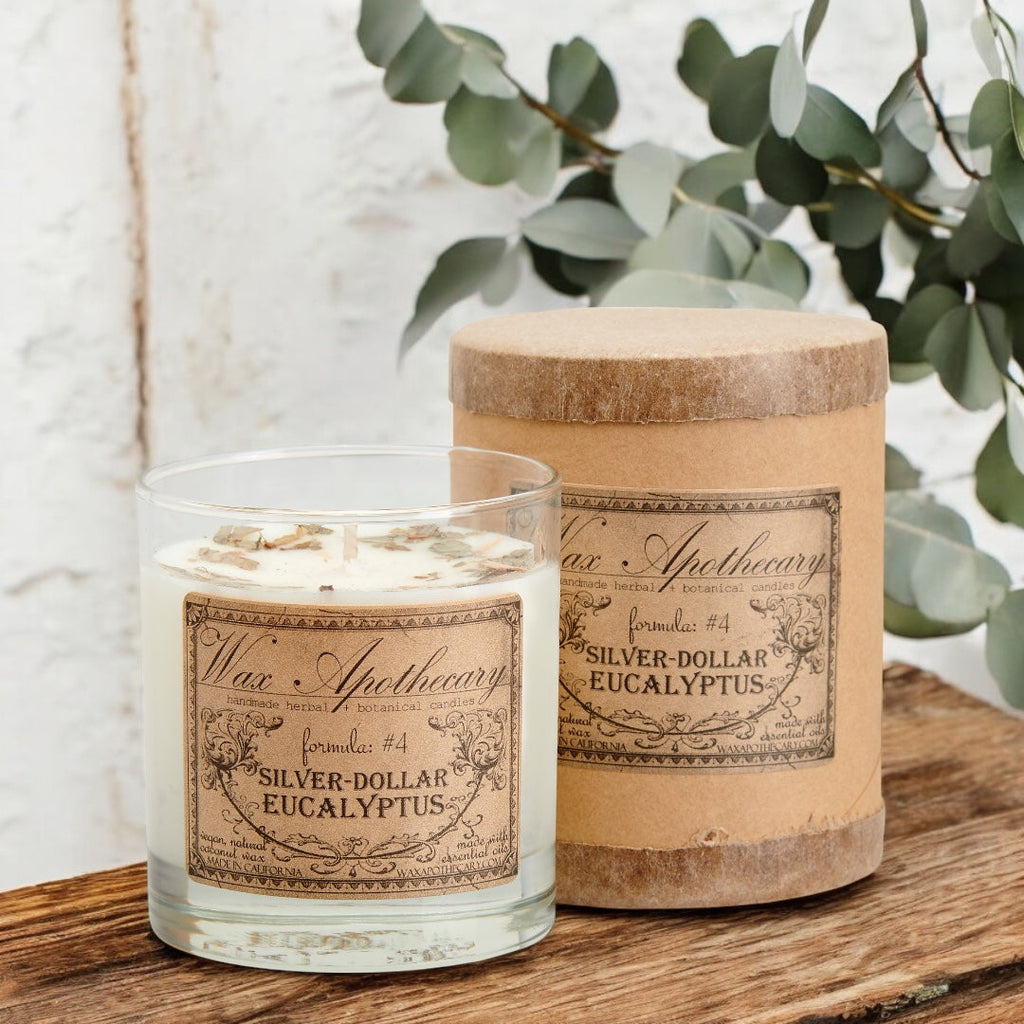 Silver-Dollar Eucalyptus Botanical Candle - 7 oz Scotch Glass