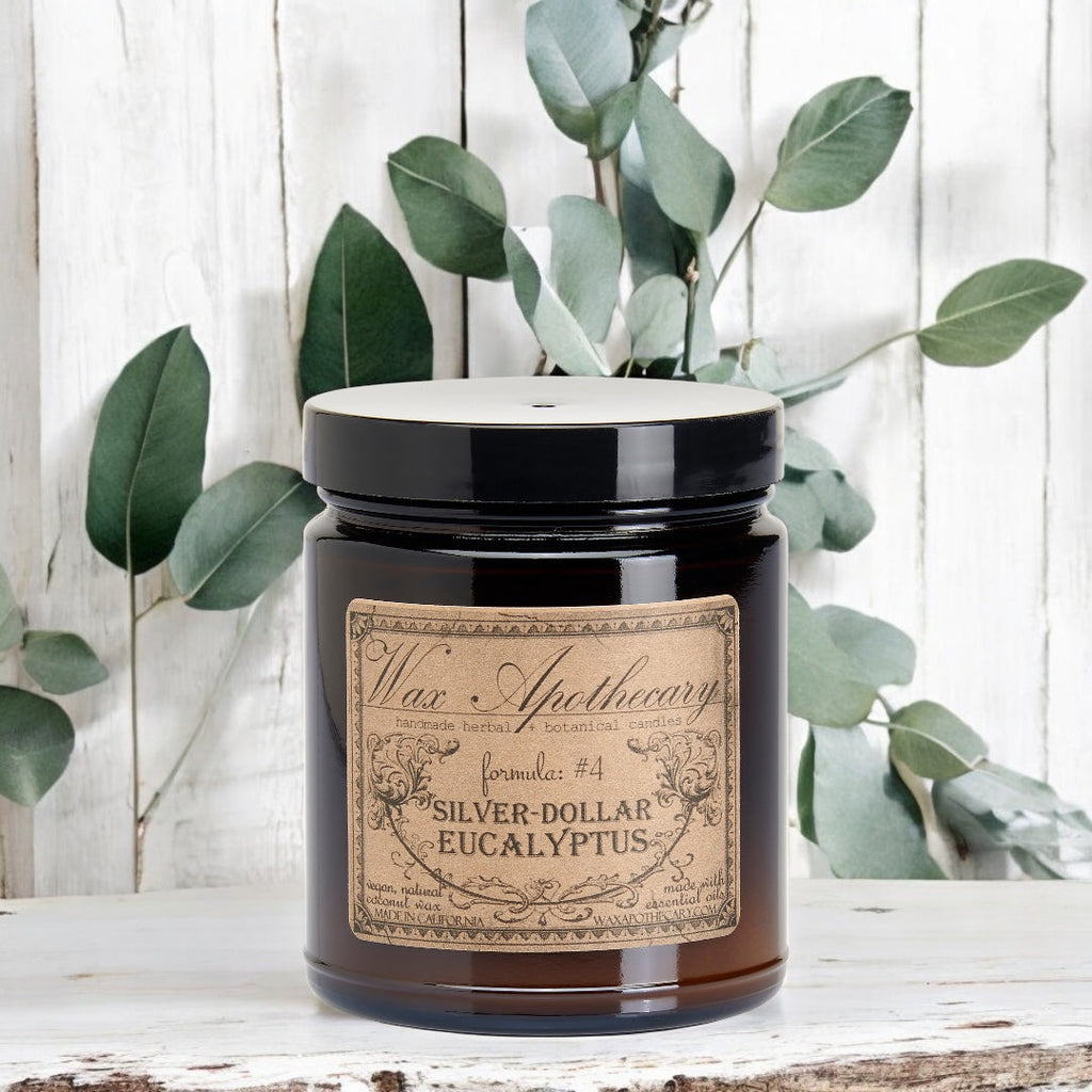 Silver-Dollar Eucalyptus Botanical Candle - 6 oz Amber Jar