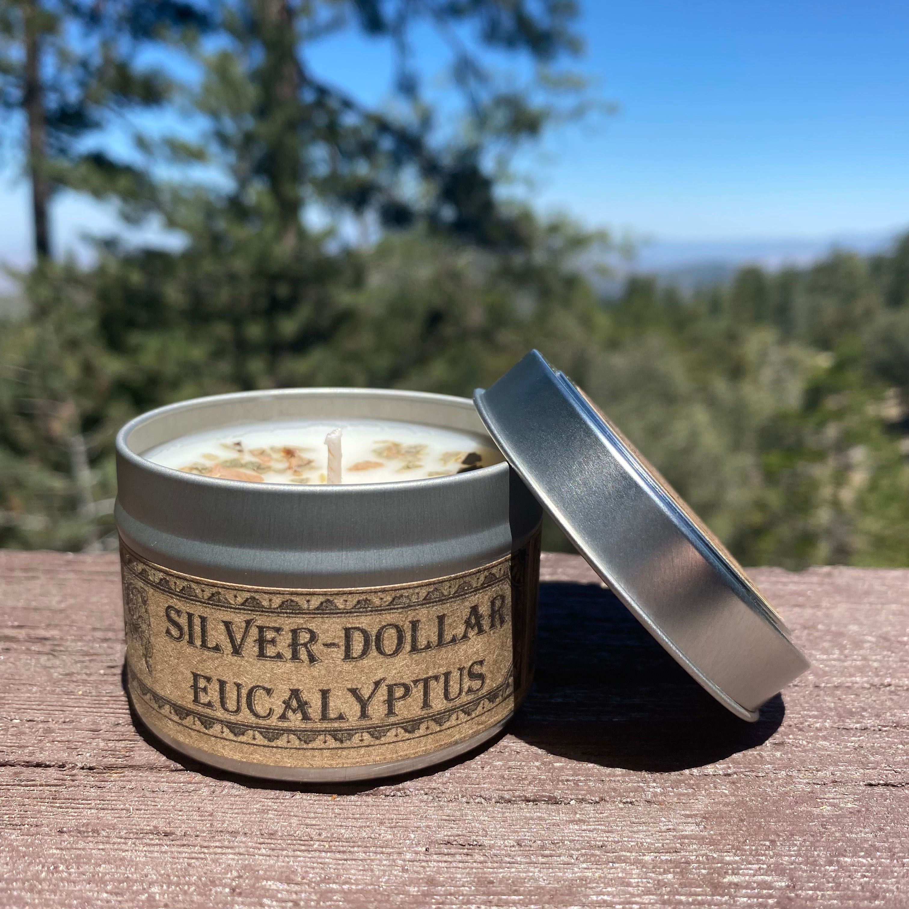 Silver-Dollar Eucalyptus Botanical Candle - 4 oz Travel Tin
