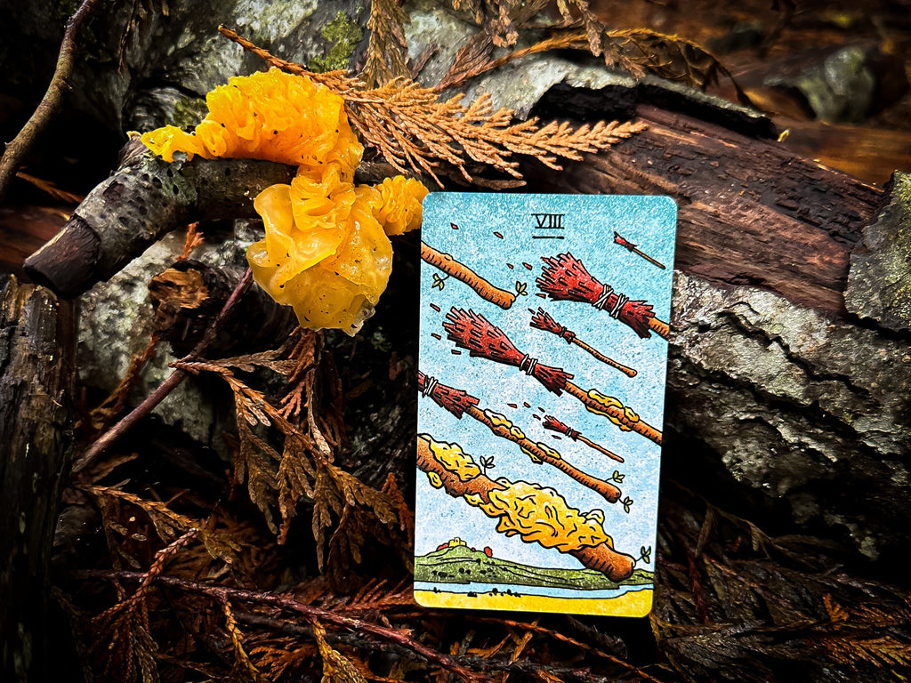 The Mushroom Hunter's Arcanum Tarot Deck