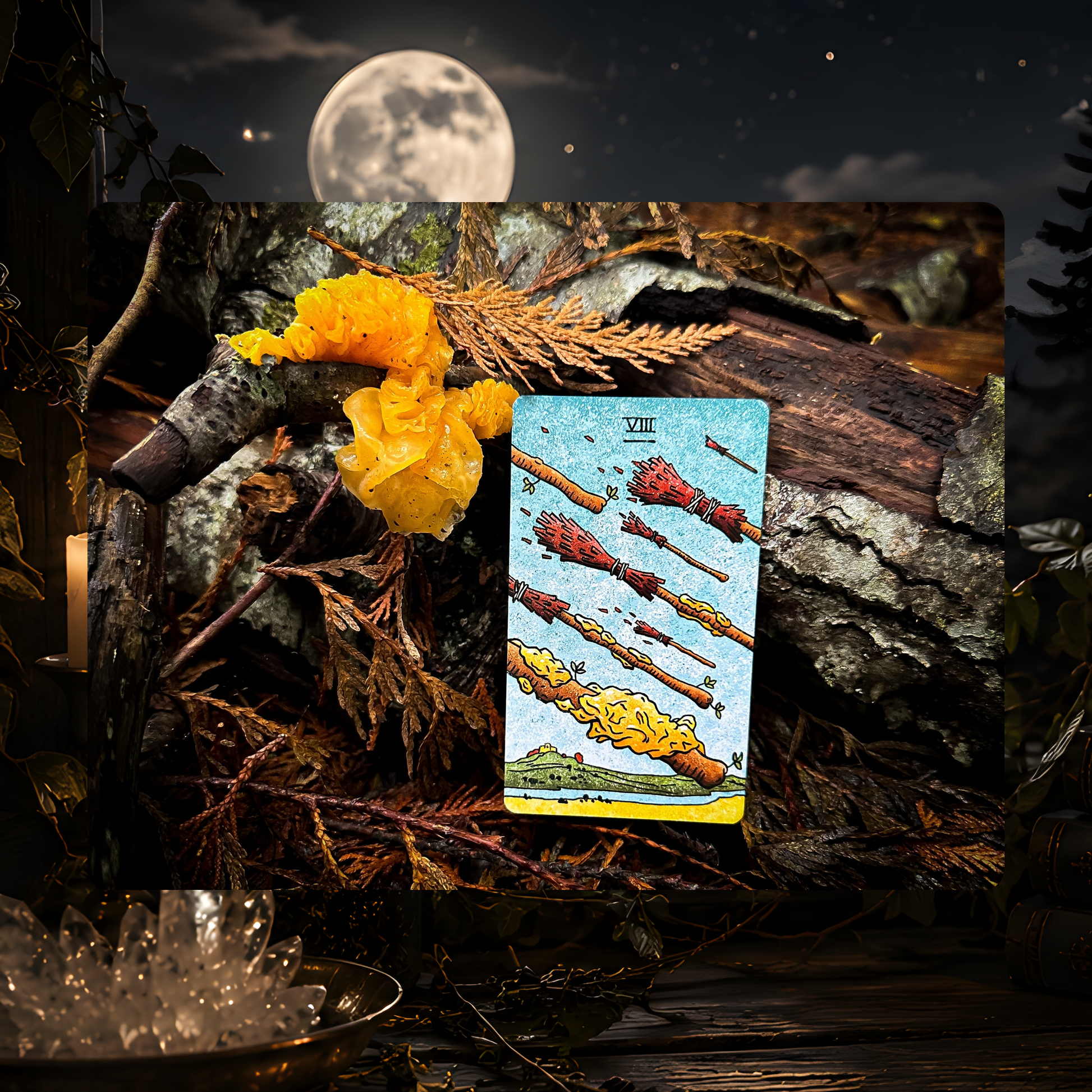 The Mushroom Hunter's Arcanum Tarot Deck