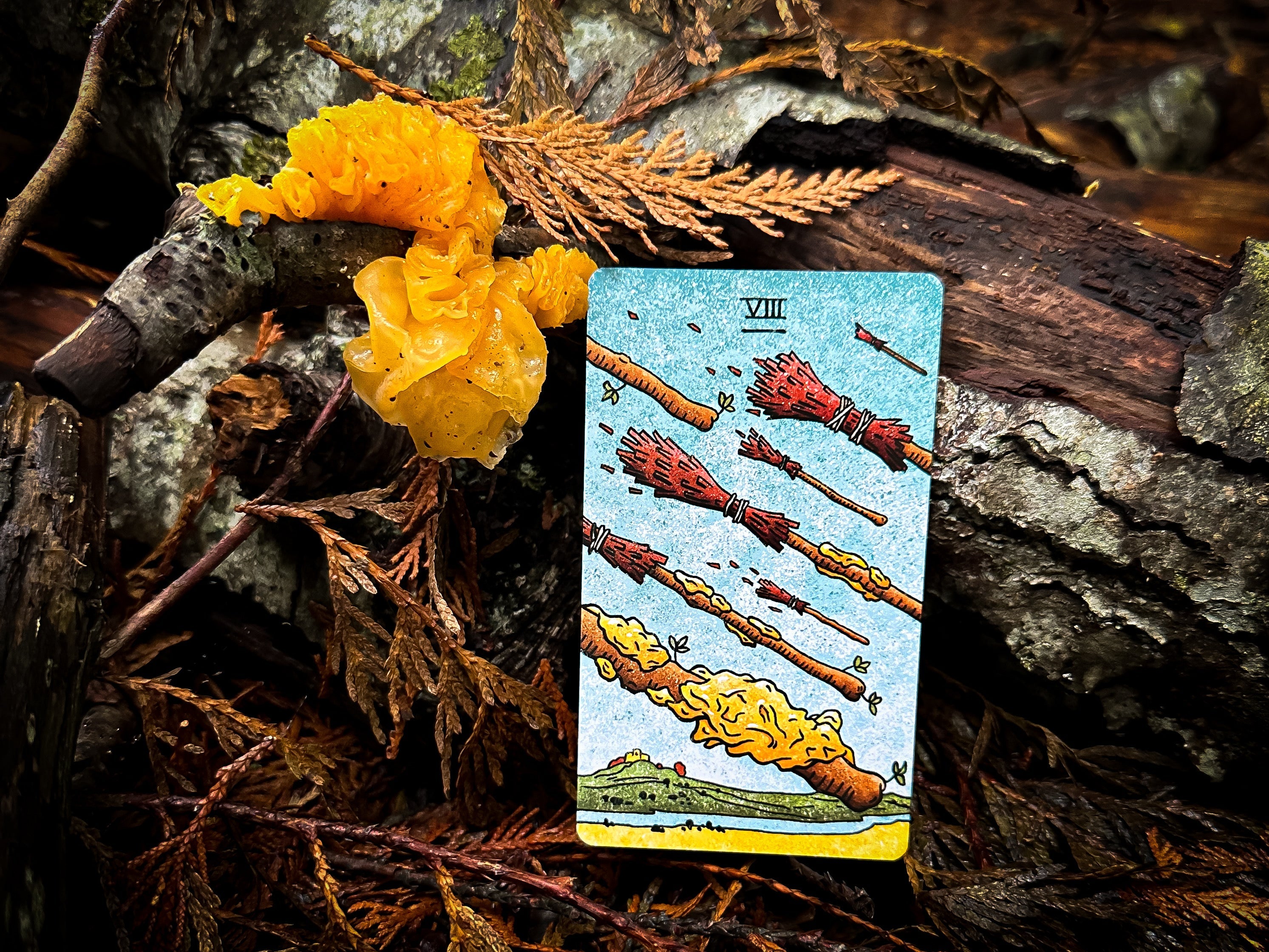 The Mushroom Hunter's Arcanum Tarot Deck