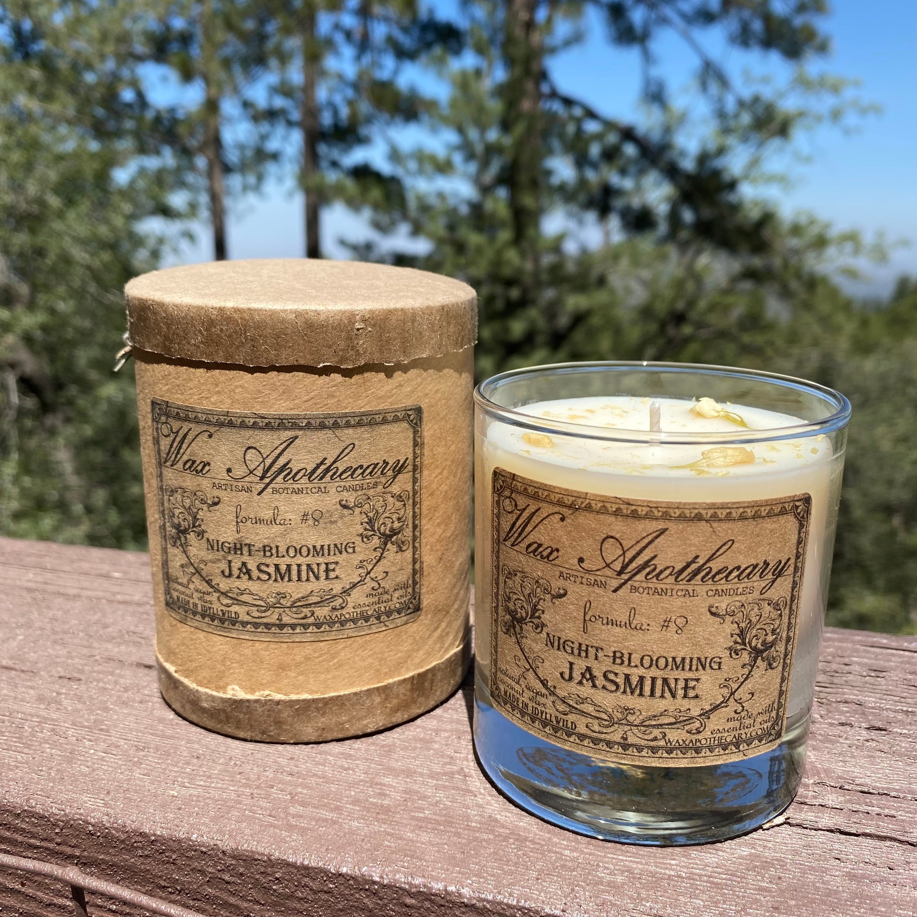 Night-Blooming Jasmine Botanical Candle - 7 oz Scotch Glass