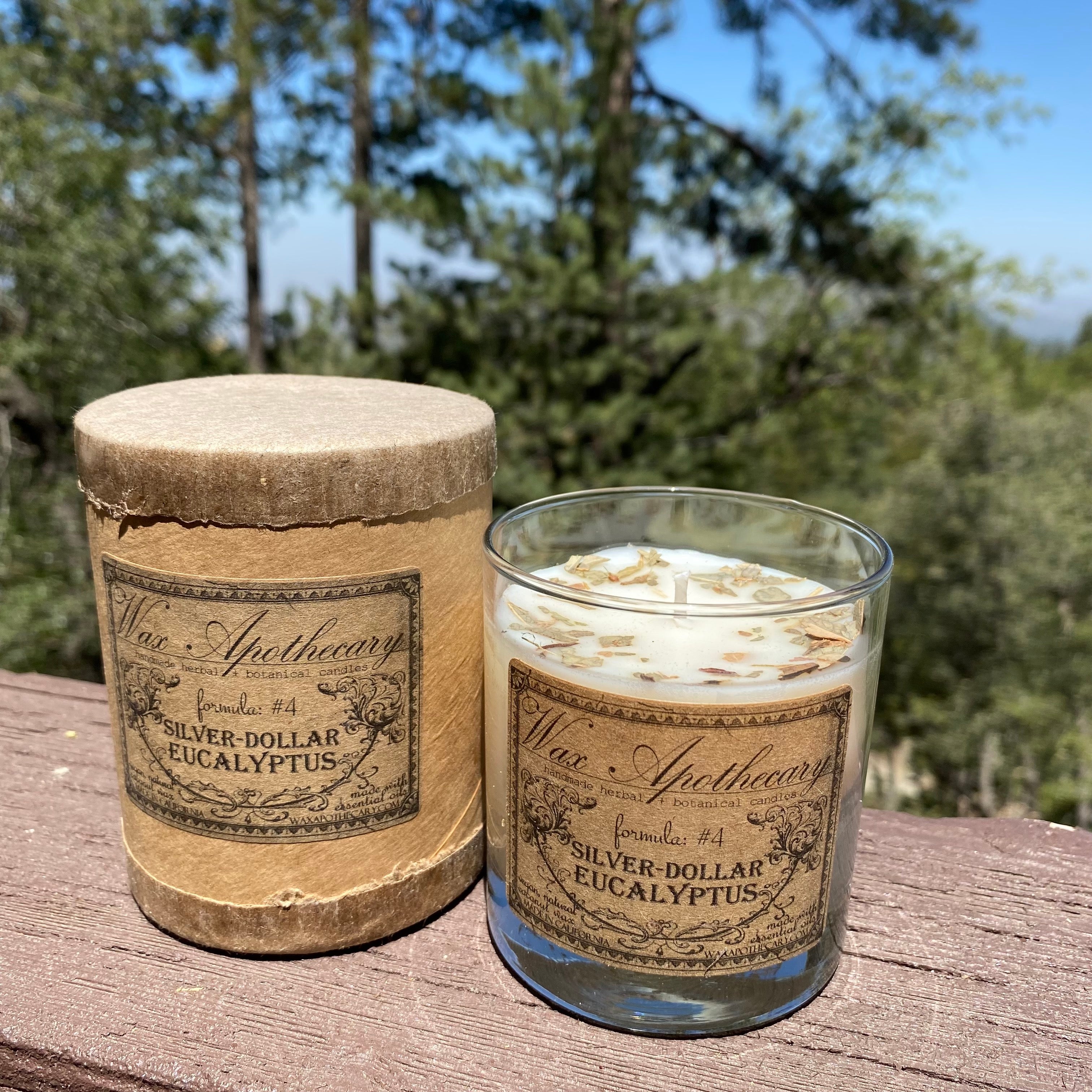 Silver-Dollar Eucalyptus Botanical Candle - 7 oz Scotch Glass