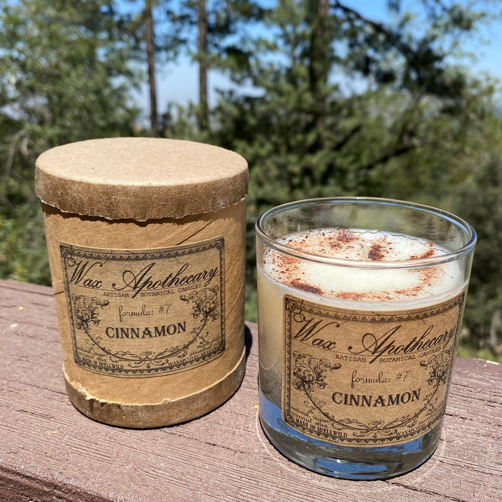 Cinnamon Botanical Candle - 7 oz Scotch Glass