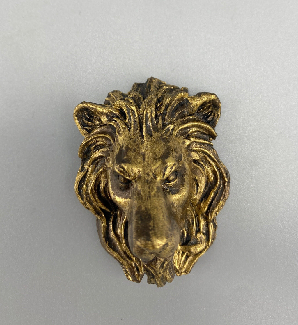 Lion's Head Magnet