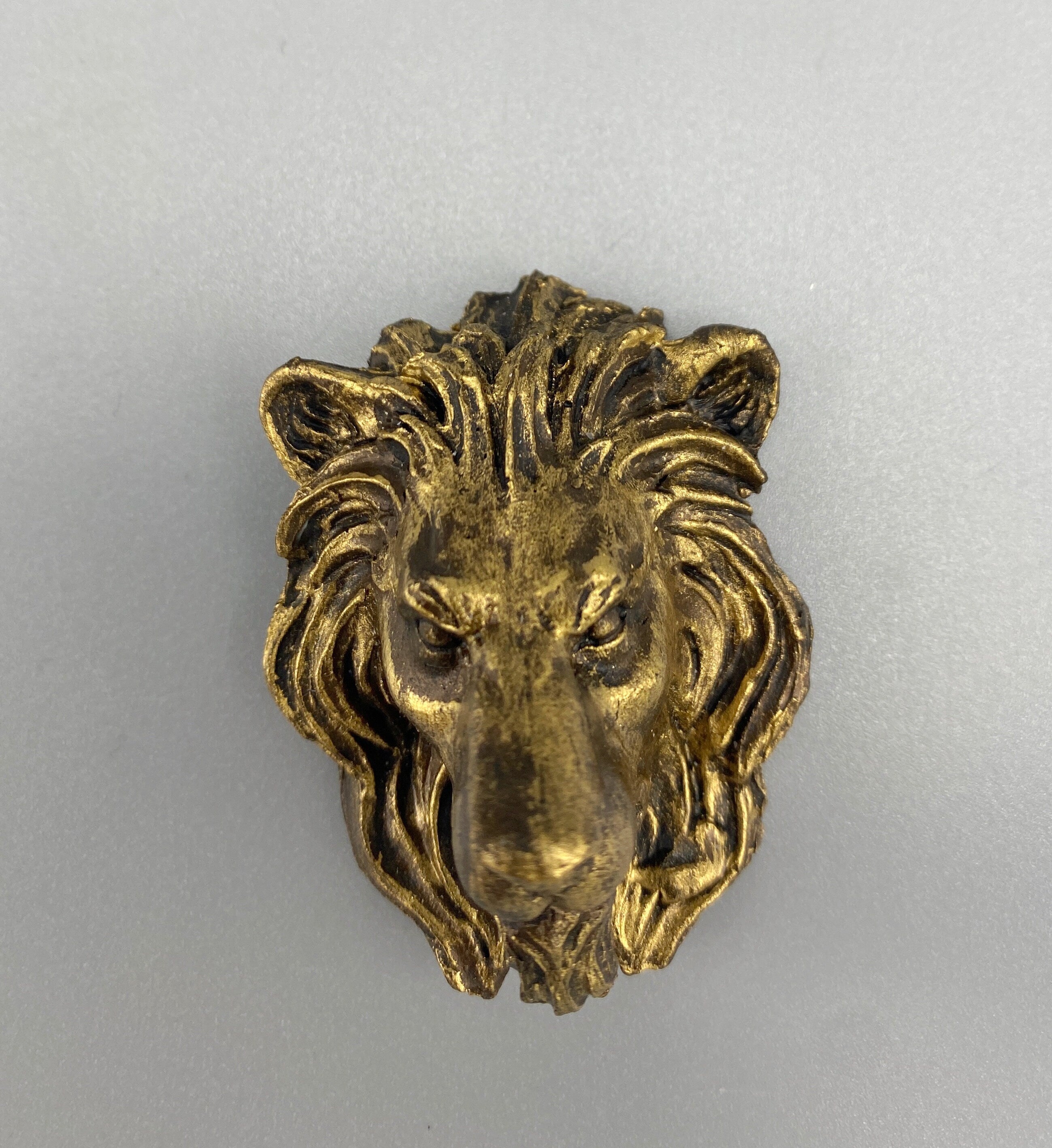 Lion's Head Magnet