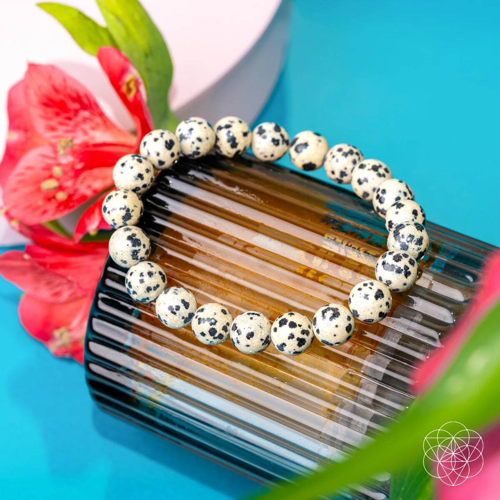 Dalmatian Jasper Bracelet - Emotional Reset