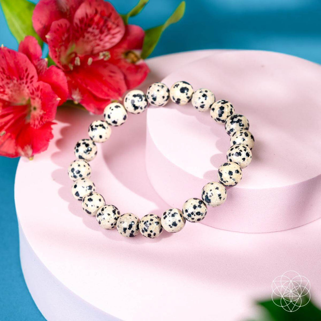 Dalmatian Jasper Bracelet - Emotional Reset