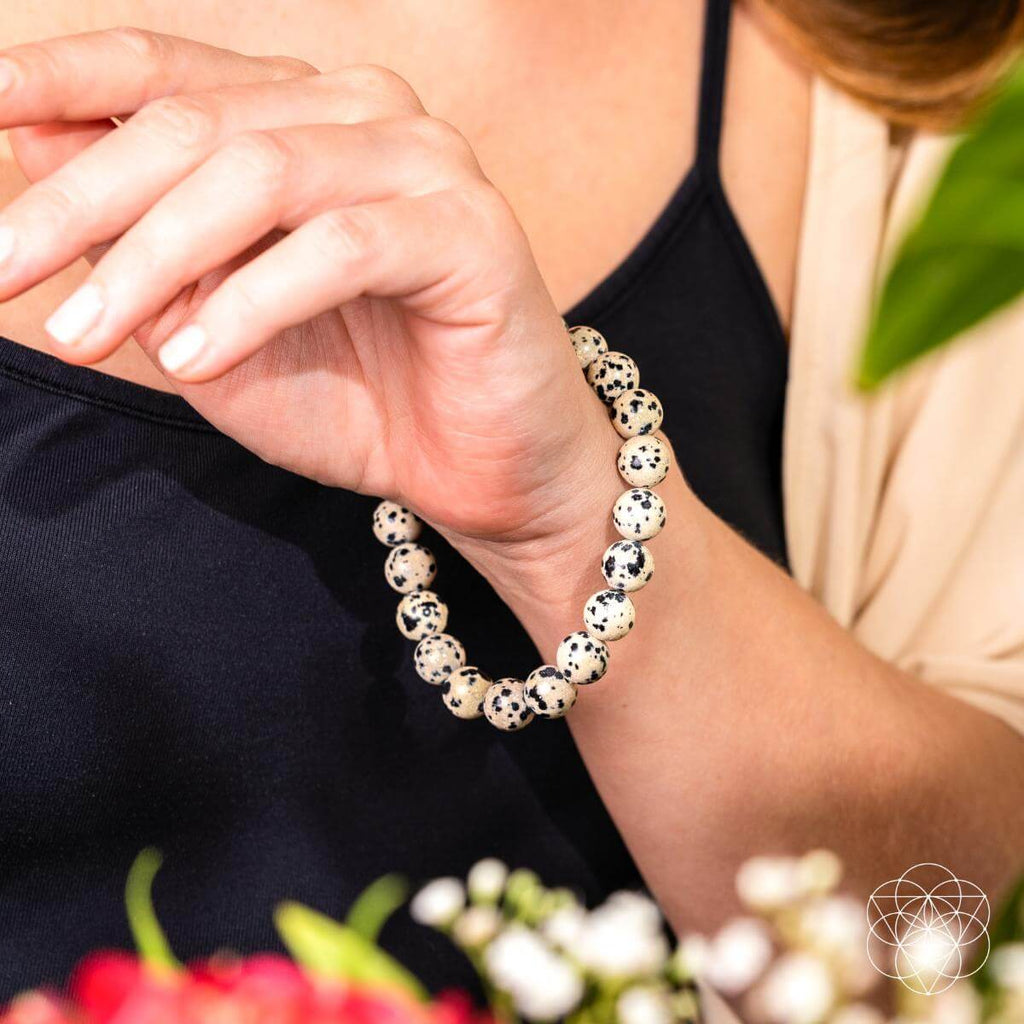 Dalmatian Jasper Bracelet - Emotional Reset