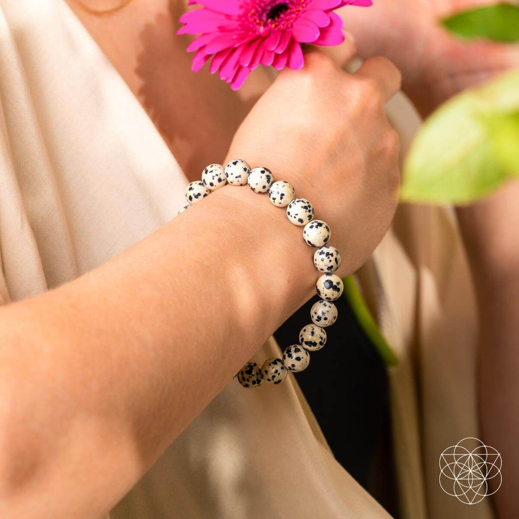 Dalmatian Jasper Bracelet - Emotional Reset