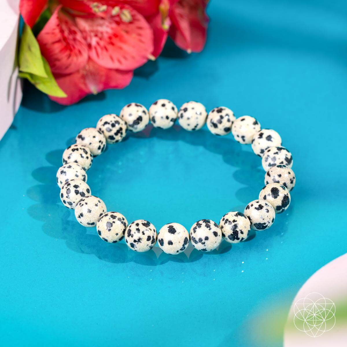 Dalmatian Jasper Bracelet - Emotional Reset