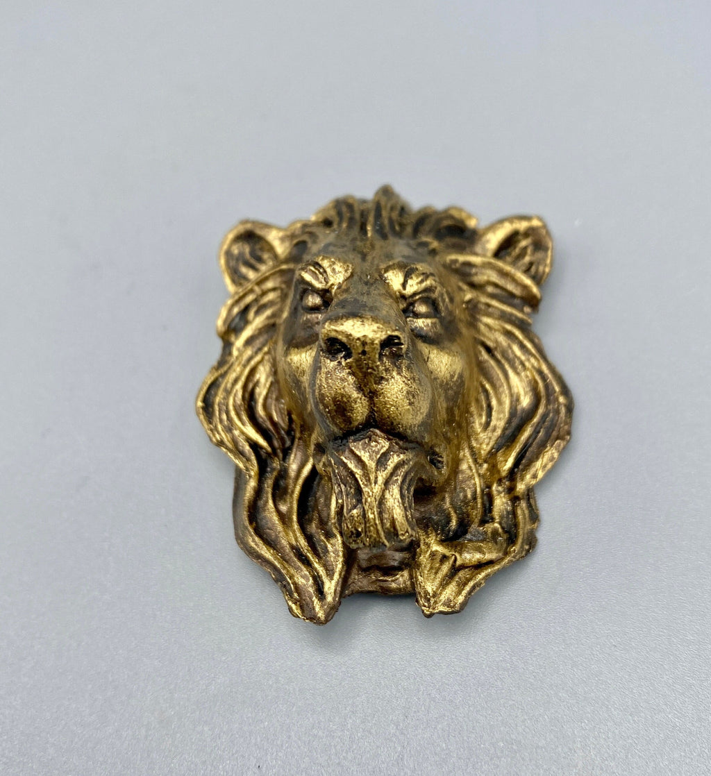 Lion's Head Magnet