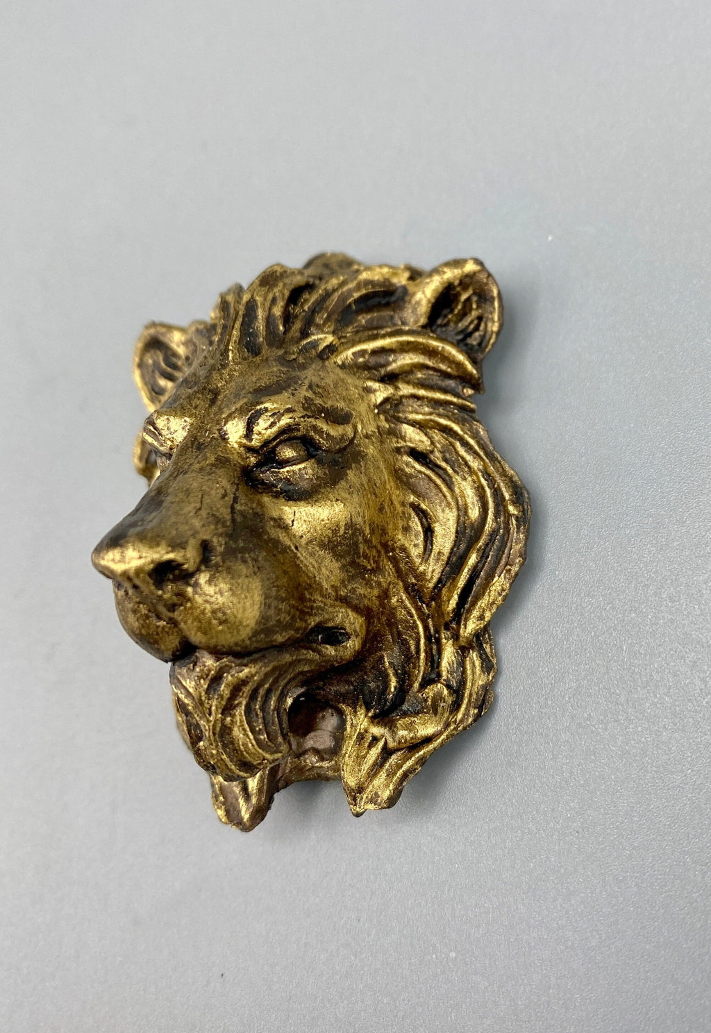 Lion's Head Magnet