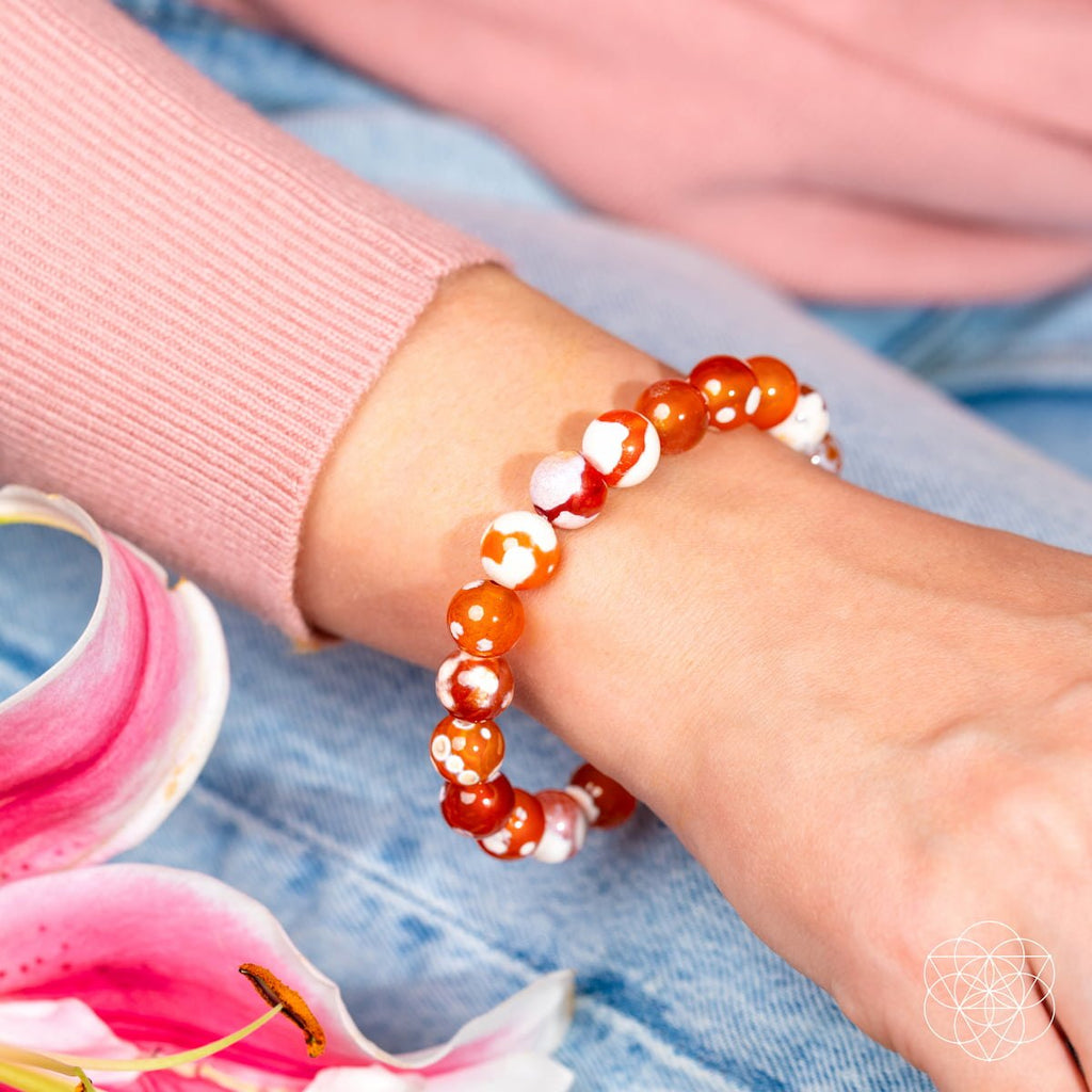 Carnelian & Orca Agate Bracelet - Feminine Force