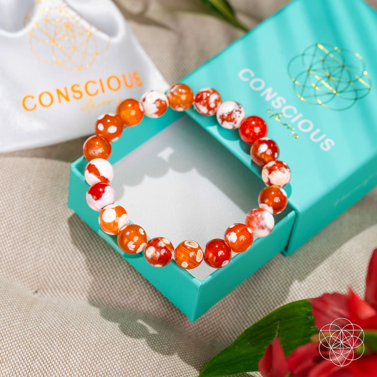 Carnelian & Orca Agate Bracelet - Feminine Force