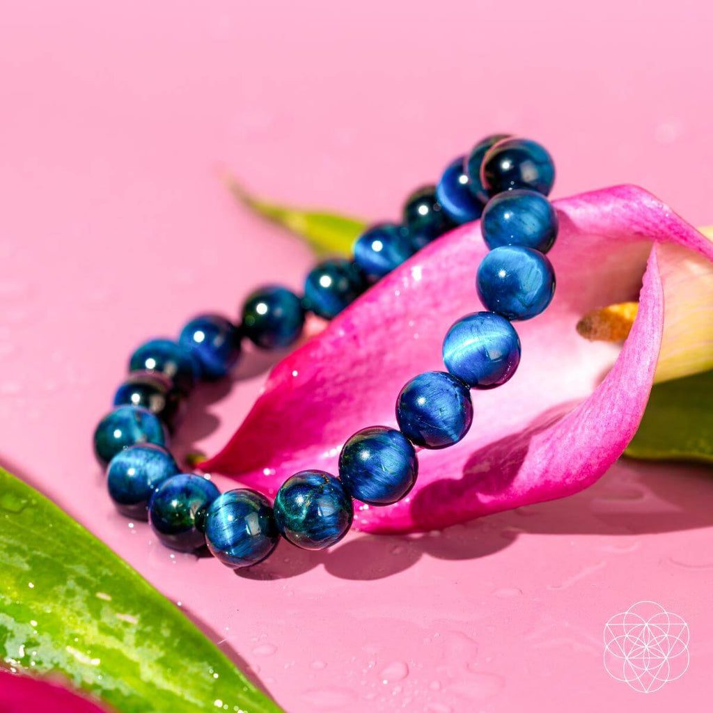 Royal Blue Tiger's Eye Bracelet - Hawk Focus