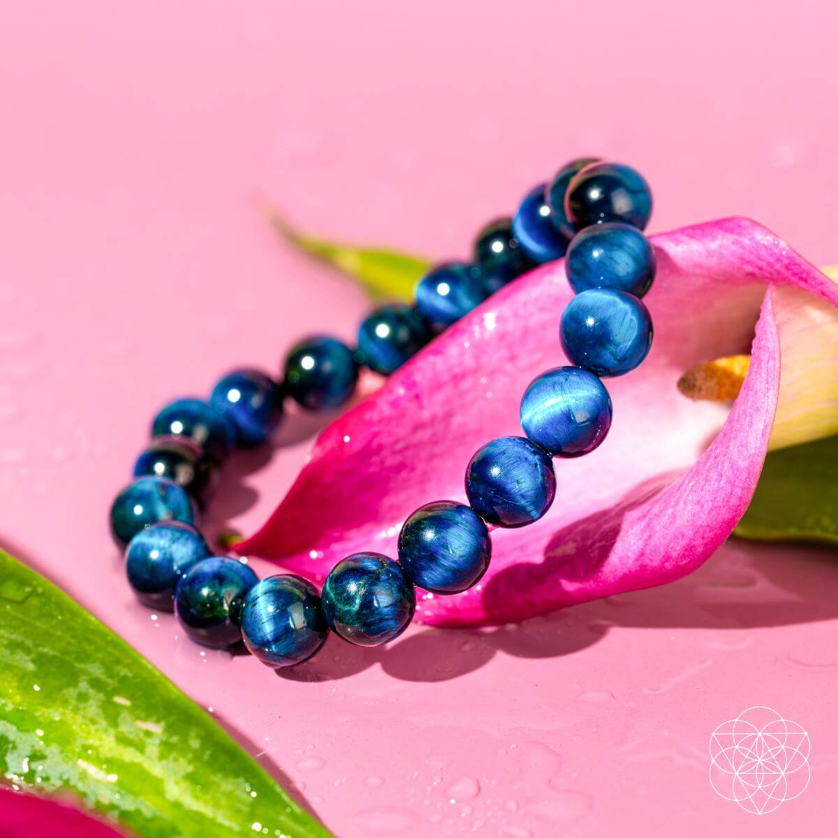 Royal Blue Tiger's Eye Bracelet - Hawk Focus