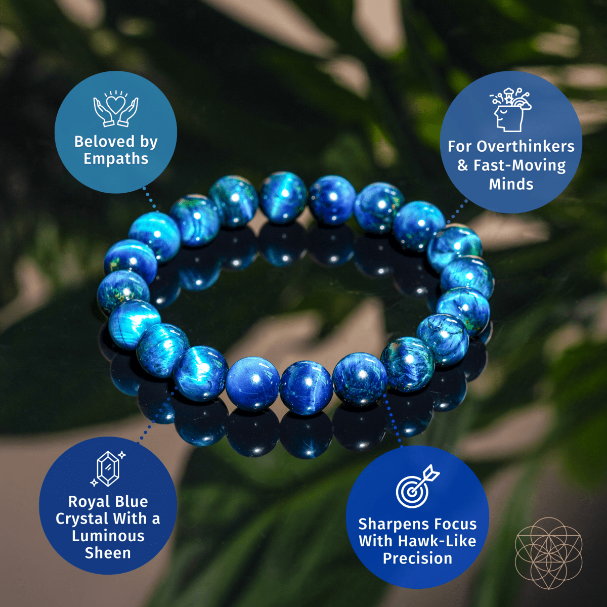 Royal Blue Tiger's Eye Bracelet - Hawk Focus