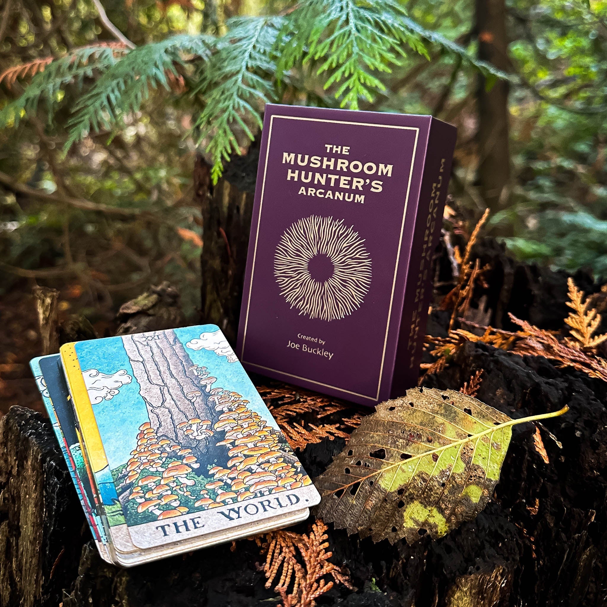 The Mushroom Hunter's Arcanum Tarot Deck
